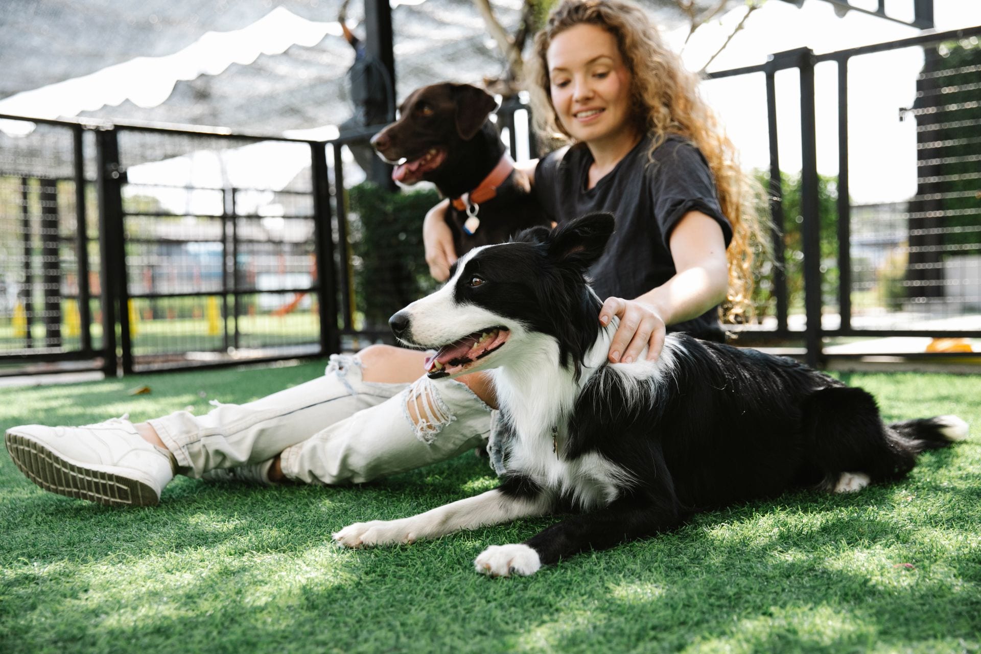 Hundetrainer mit Hund in der Natur