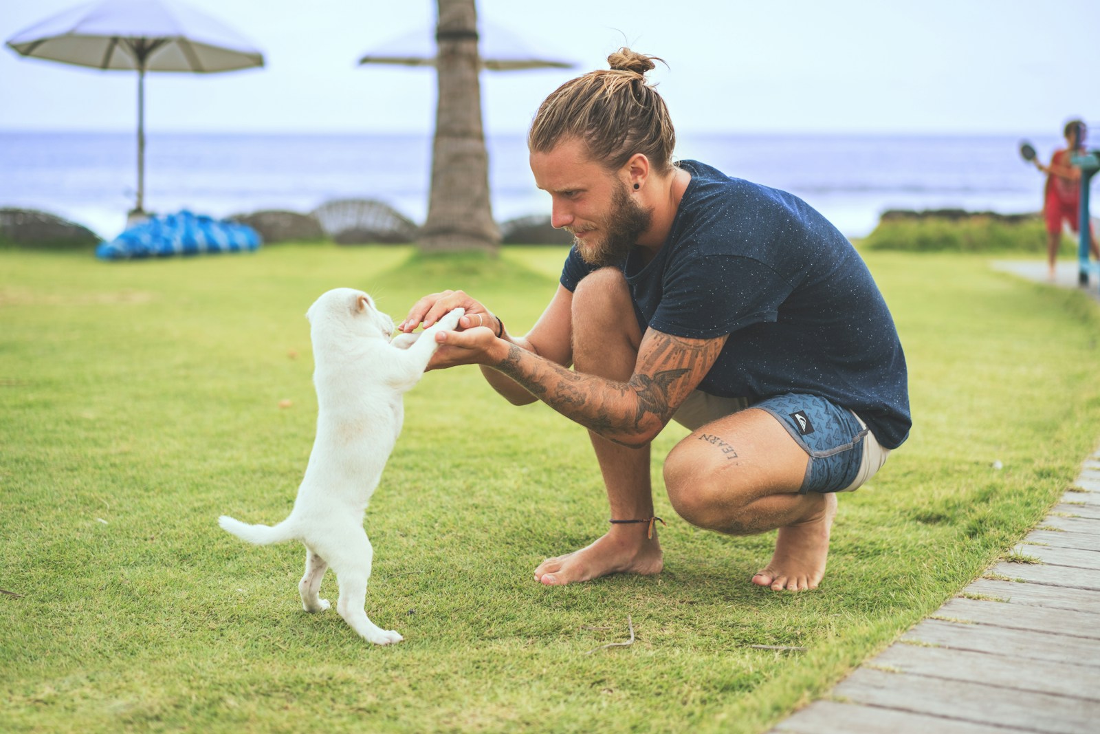 Ausbildung als Hundetrainer