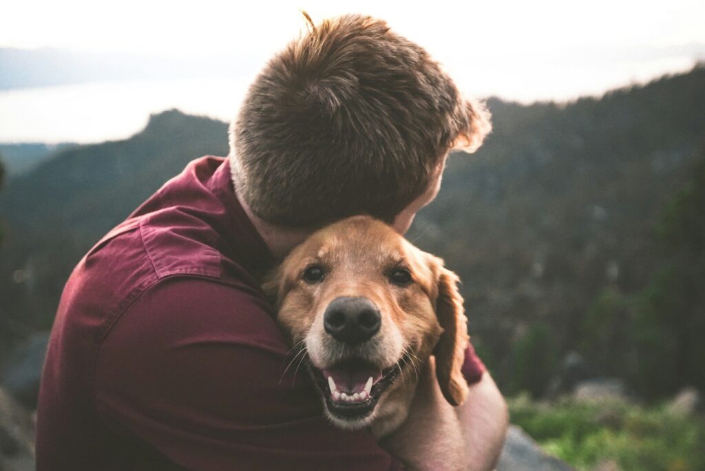 Therapiehund im freundlichen Kontakt mit einem Menschen