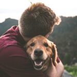 Therapiehund im freundlichen Kontakt mit einem Menschen