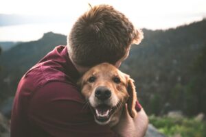Therapiehund im freundlichen Kontakt mit einem Menschen